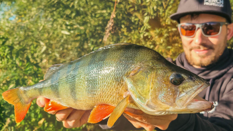 Rękodzielnictwo wędkarskie: od garażu do międzynarodowej marki