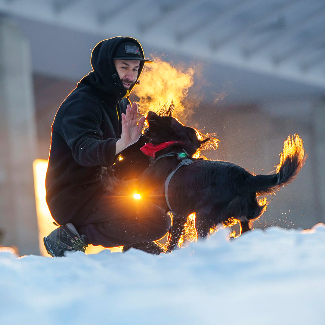 Polar Black Bear 420g - gruba warstwa izolacyjna na zimne poranki