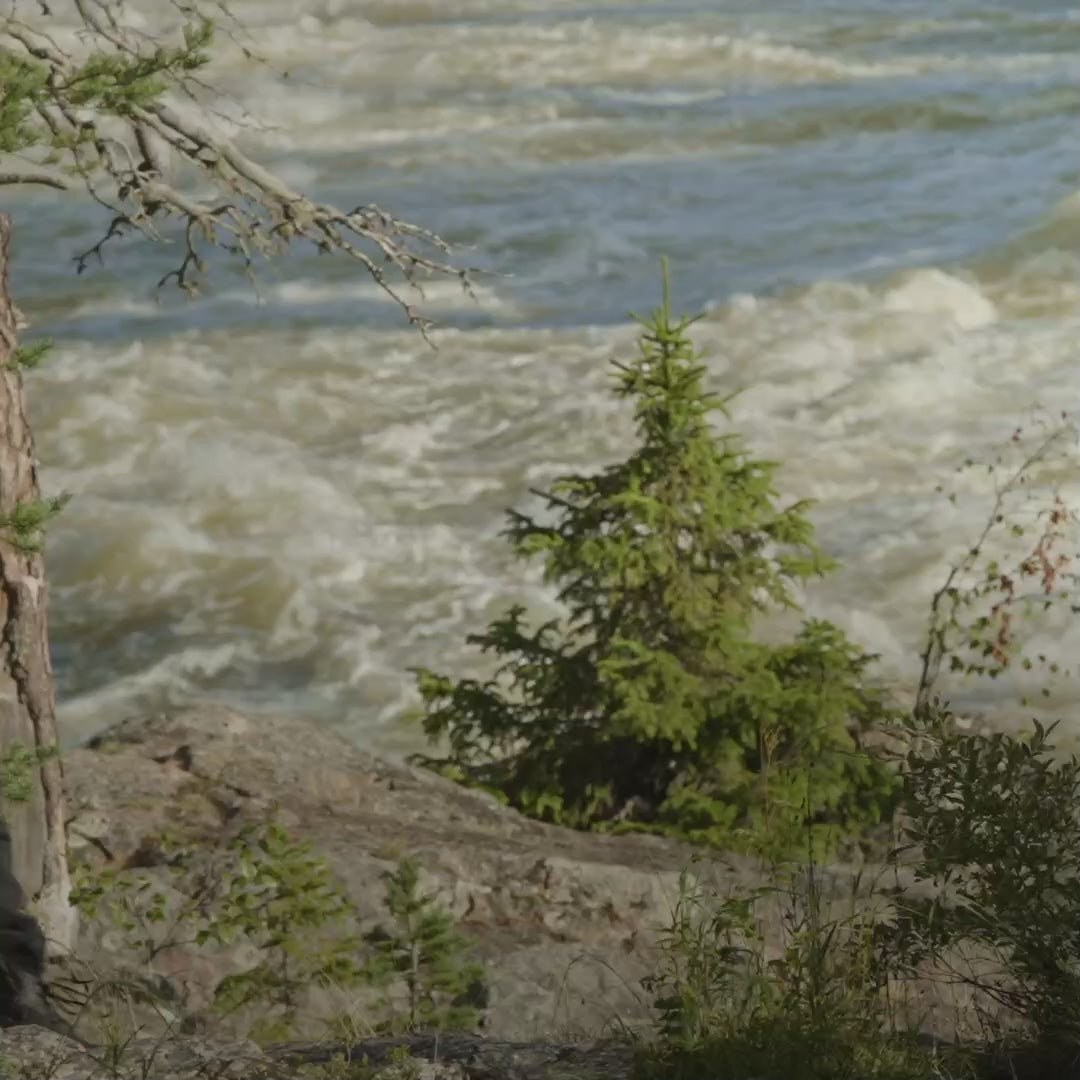 Bluza WĘDKARSKA Wild Fish Stories z logo na plecach noszona przy wodospadzie, outdoorowy styl życia wędkarstwo