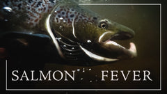 salmon fever